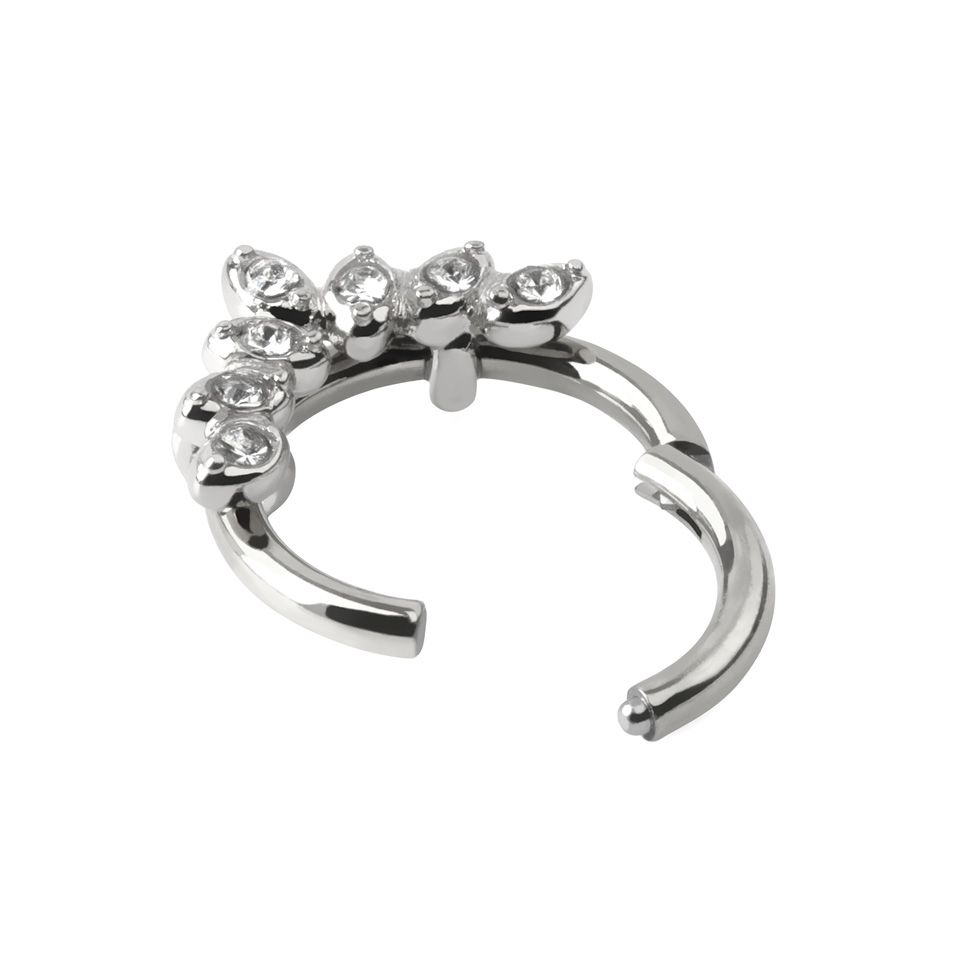 Scharnierring aus Chirurgenstahl mit 7 CZ Blätter