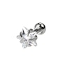 Set aus Ohrpiercings mit einem Sternenstein Piercing - Deutschland