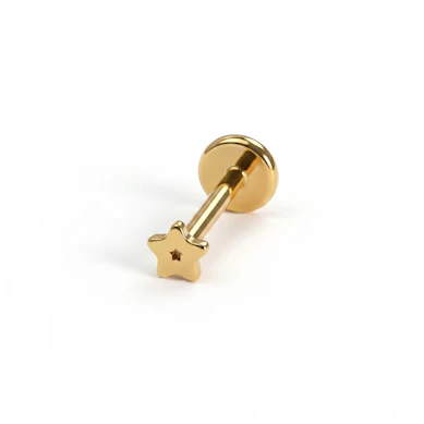 Kleines Stern-Labret aus Titan