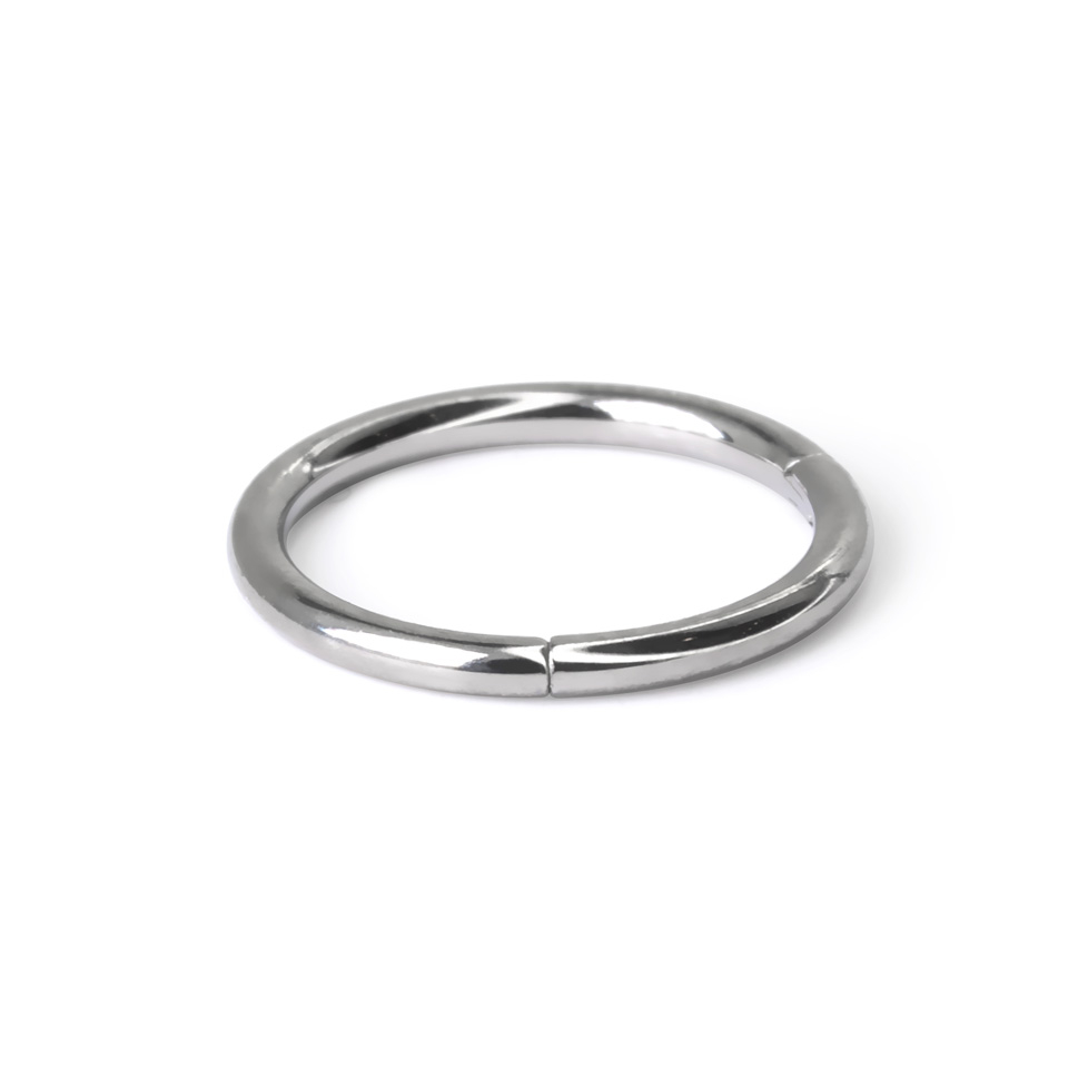 Scharnierring aus Titan