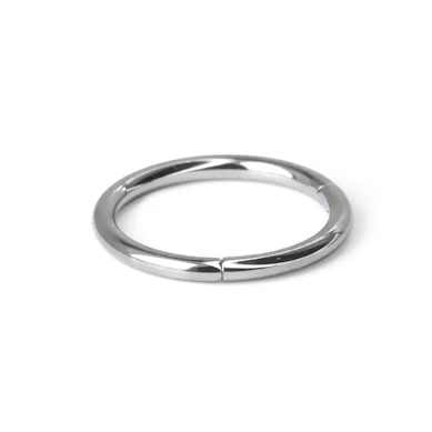 Scharnierring aus Titan