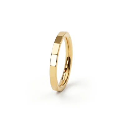 Eleganter facettierter Titanring