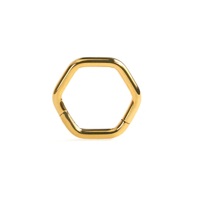 Sechseckiger Scharnierring aus Titan