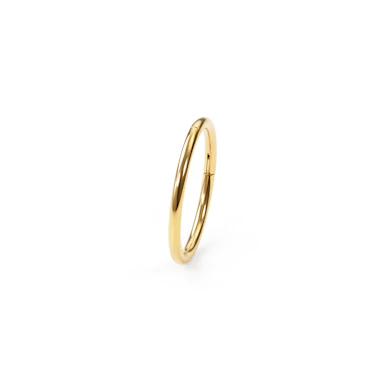 24K vergoldeter Titan-Scharnierring