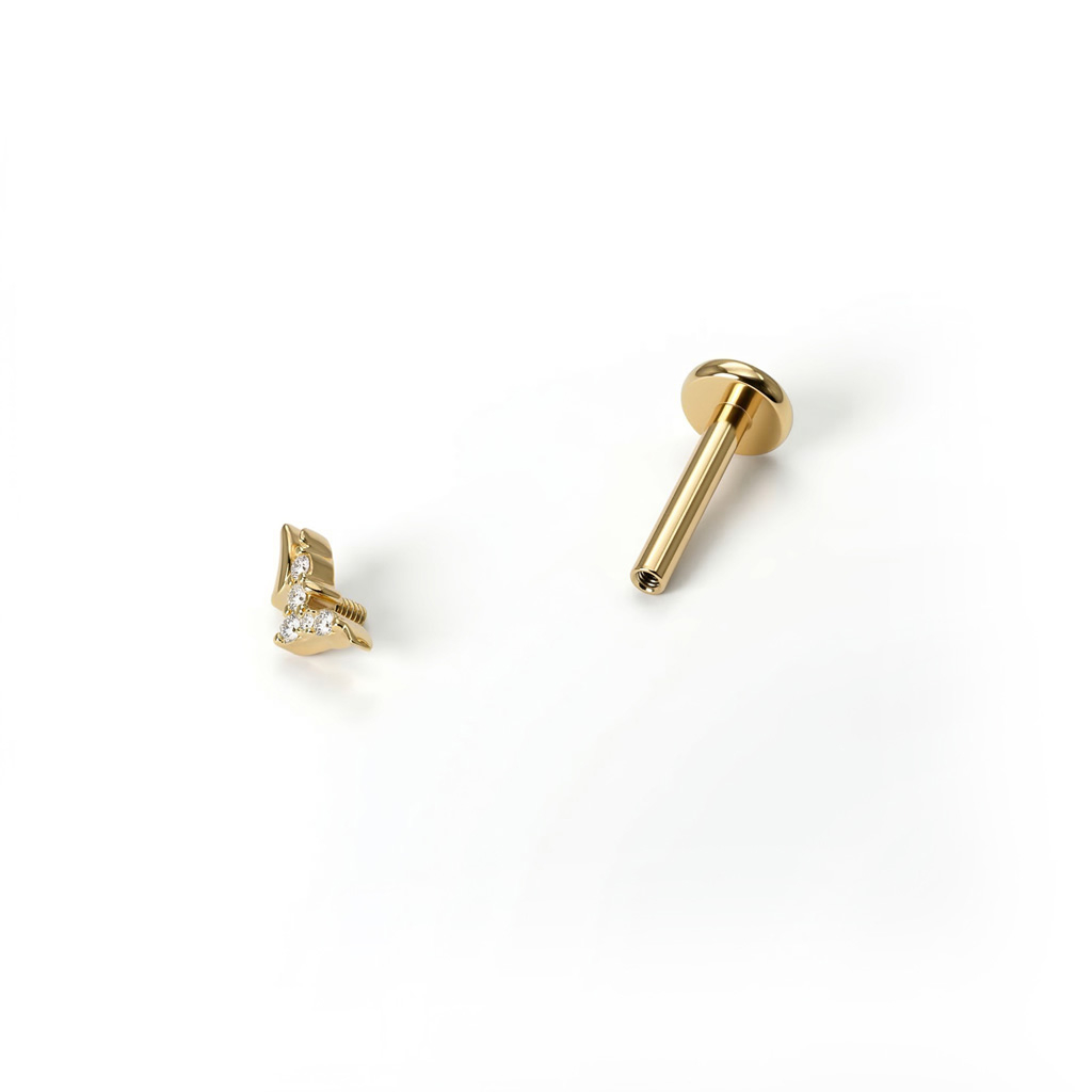 Labret aus Titan in Vogelform
