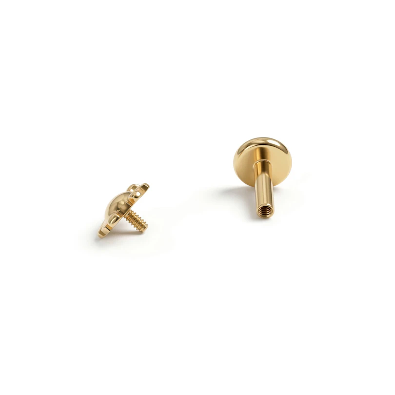 Titan-Labret mit Pinguin