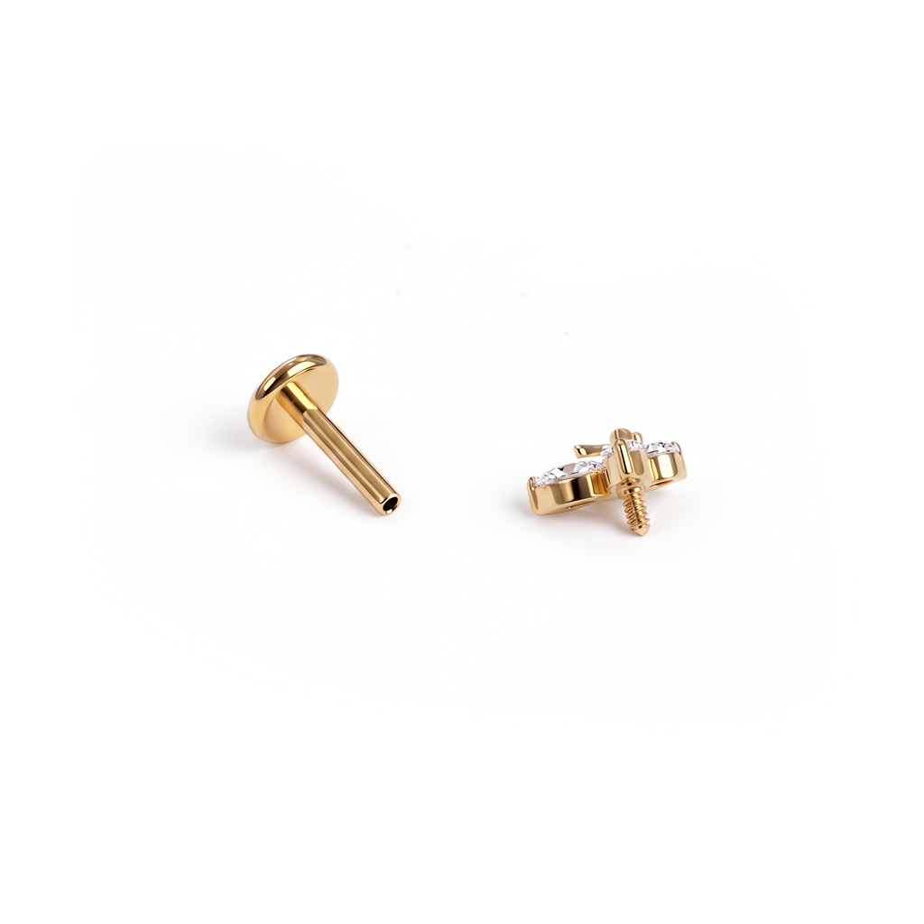 Doppelter Schmetterling-Labret aus Titan